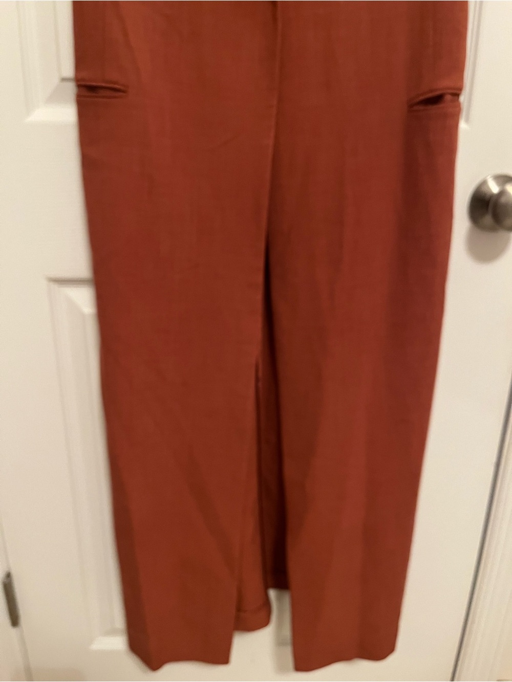 NWT BCBGMAXAZRIA Tiger Eye Belted Long Vest – Size L - Picture 14 of 16